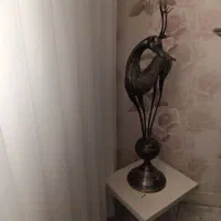 گوزن بزنجی نو سالم سنگین