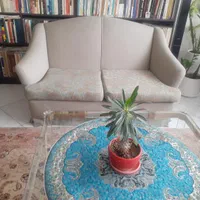 مبل نیم ست|مبلمان خانگی و میز عسلی|تهران, اکباتان|دیوار