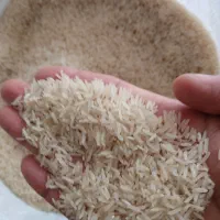 برنج فجر ۱۲۰روزه