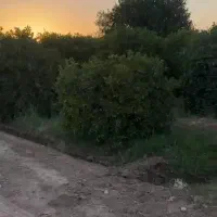 1000متر-باغچه-کنتور-برق