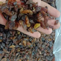 کشمش شیرین گله پاک شده و قیمت خوب|خوردنی و آشامیدنی|اصفهان, زهران|دیوار