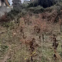 فروش ویژه ی زمین سنددار در سوادکوه، شهر زیراب