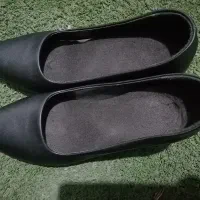 کفش مجلسی