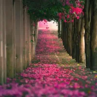 ارائه دهنده انواع خدمات