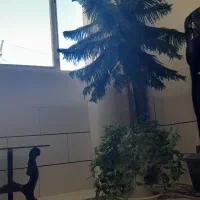 گل مطبق