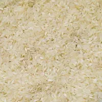 برنج کامفیروزی