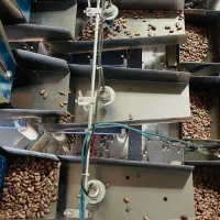 استخدام نیروی خانم در کارخانه منطقه آزاد سرخس