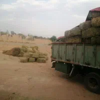 یونجه پرس