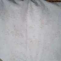 چادر عقد نامزدی