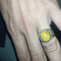 شرف شمس