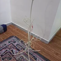 استندگل|گل و گیاه طبیعی|اهواز, لشکرآباد|دیوار