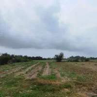 زمین-کشاورزی-3000-متری-روستای-پطرود