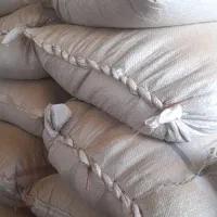 ۲۵کیسه گندم مهرگان بذری