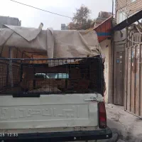 فروش پیکان وانت