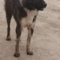 لطفاً آگهی روبخون