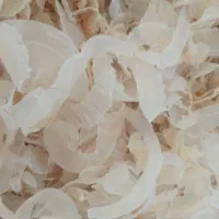 کتیرا