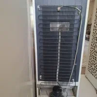 فریزر سالم استثنایی