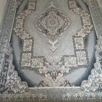 ۶ متری فرس طوسی