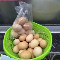 تخم مرغ محلی هراج