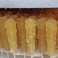 استخدام جهت  تولید نبات(آقا)
