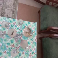 لوستر خارجی سالم