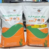 توزیع انواع بذر ذرت / بذر ذرت 703 / بذر یونجه