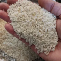 سر لاشه برنج طارم هاشمی  به شرط پخت