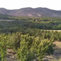 فروش باغ واقع در روستای سردهلق