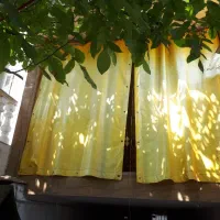 والان وپرده چرمی