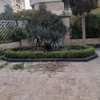 خدمات باغبانی هرس وسمپاشی باضمانت وفاکتورکل تهران