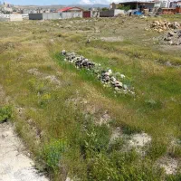 ۲۰۰متر زمین تجاری