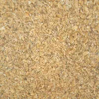 گندم وبوجاری