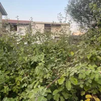 زمین ۲۵۰ متری داخل بافت در فرهنگ