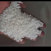 برنج طارم هاشمی درجه یک