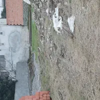 زمین مسکونی