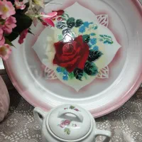 سینی وظروف محافظ غذا لعابی نوآک