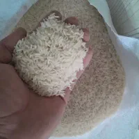 برنج هاشمی درجه یک