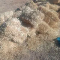 پرس کلش گندم