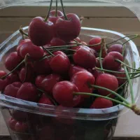 گیلاس|خوردنی و آشامیدنی|سبزوار, توحیدشهر|دیوار