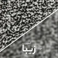 پالاز زیبا اسپرت با پشت ضد لغزش دو نخ|موکت|تهران, دهکده المپیک|دیوار