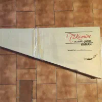 گیتار کلاسیک Takamine G116|گیتار، بیس، امپلیفایر|تهران, شهرآرا|دیوار