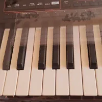 ارگ pa4درحد|پیانو، کیبورد، آکاردئون|بیستون, |دیوار