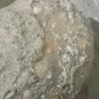سلام یک زنگ قیمتی