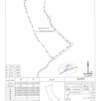 زمین با پروانه مرغداری|فروش دفتر صنعتی، کشاورزی، تجاری|کیاشهر, |دیوار