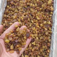 خشکبار کردستان