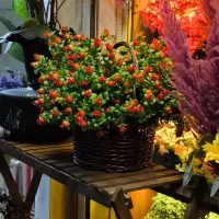 گل انار مصنوعی شب یلدا باکس خاص|گل مصنوعی|پردیس, فاز ۳|دیوار