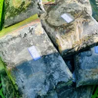 سبزی خردشده خانگی شمالی