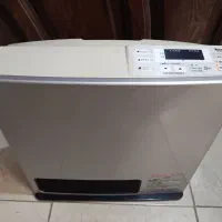 بخاری ژاپنی رینای