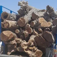 چوب