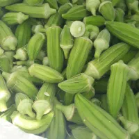 بامیه شرط ریز وتازه